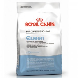 Корм Royal Canin Queen для беременных и лактирующих кошек