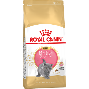 Royal Canin British Shorthair Kitten для британских короткошерстных котят в возрасте от 4 до 12 месяцев, 10 кг