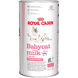 Заменитель молока для котят Royal Canin Babycat Milk, 0,3кг