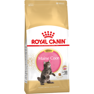Royal Canin Maine Coon Kitten для котят породы мейн-кун в возрасте от 3 до 15 месяцев, 2 кг