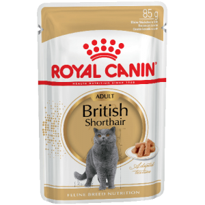 Упаковка из 12 шт Royal Canin British Shorthair (в соусе) для кошек британской короткошерстной породы старше 12 месяцев. 85г