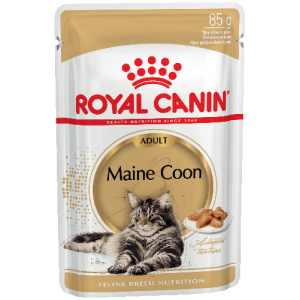 Упаковка из 12 шт Royal Canin Maine Coon (в соусе) для кошек породы мейн-кун старше 15 месяцев. 85г