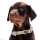 Ошейник для собак Hunter ALU-Strong M, нейлоновый с металлической застежкой, чёрный, 40-55см*20мм