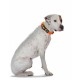Ошейник для крупных собак Hunter Maui L  на обхват шеи 42-65 cм, сетчатый текстиль оранжевый