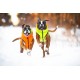 AiryVest жилетка двусторонняя для собак S 35 см оранжево-салатовая