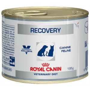 Консервы Royal Canine Recovery для собак и кошек в восстановительный период после болезни, интенсивной терапии,  0,195кг