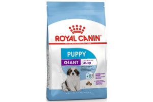 Обзор корма Royal Canin Giant Puppy