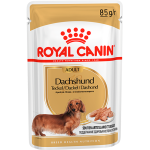 Royal Canin Dachshund Adult (паштет) корм для собак породы Такса в возрасте от 10 месяцев, 85г