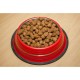 ProBalance Immuno Adult Maxi Корм сухой для взрослых собак крупных пород, 3 кг